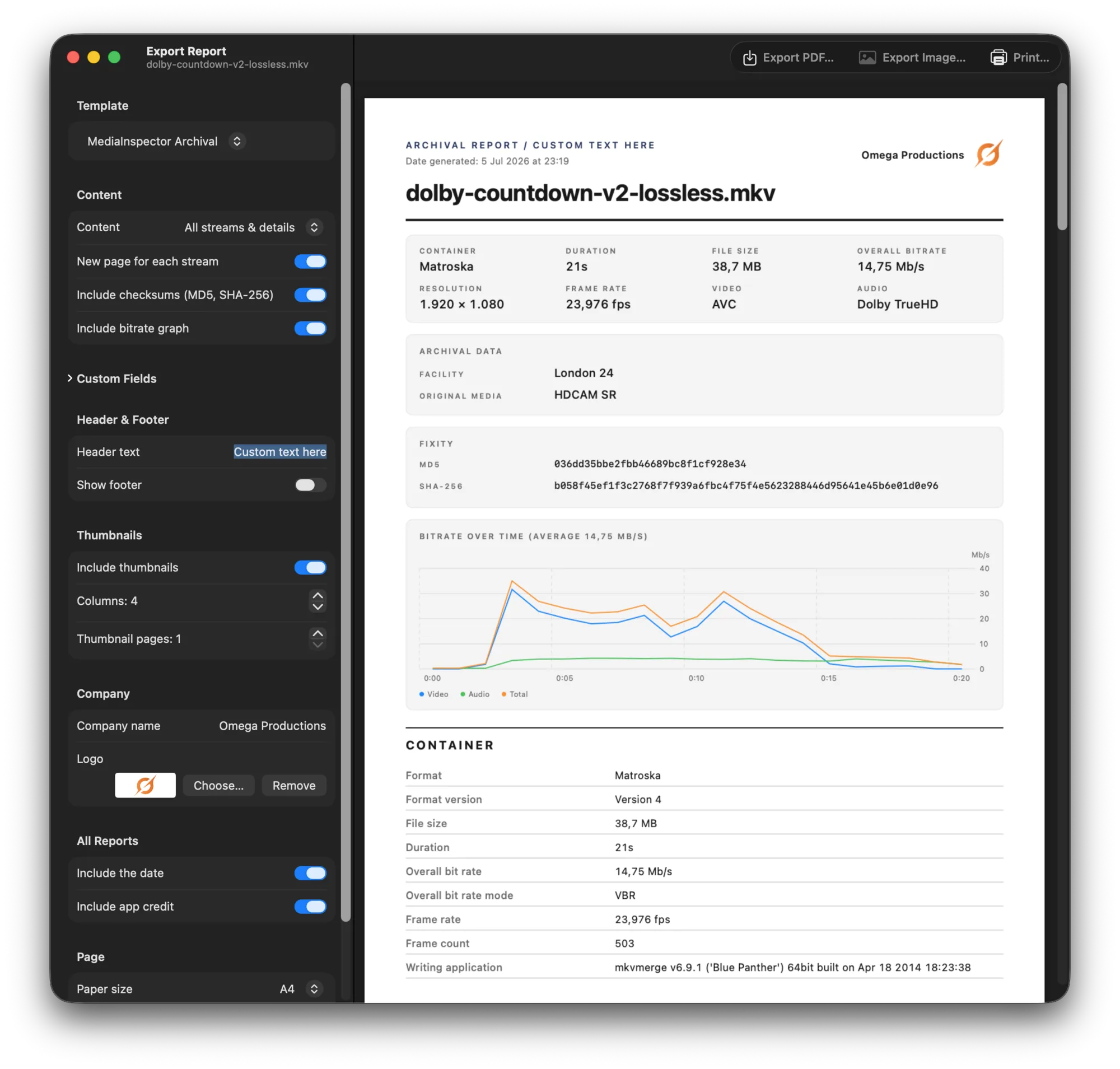 Export Report window with template options and live PDF preview